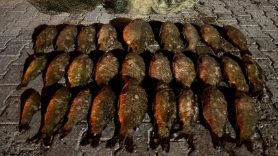 Ermenek Turkuaz Baraj Gölünde Kaçak Ava Geçit Yok