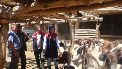 İl Müdürü Bulut’tan küçükbaş hayvan üreticisine ziyaret
