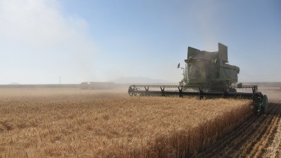 Hububat biçim fiyatları belli oldu