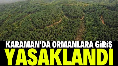 Karaman'da orman alanlarına girişler 15 Ekim'e kadar yasaklandı