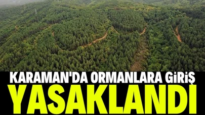Karaman'da orman alanlarına girişler 15 Ekim'e kadar yasaklandı