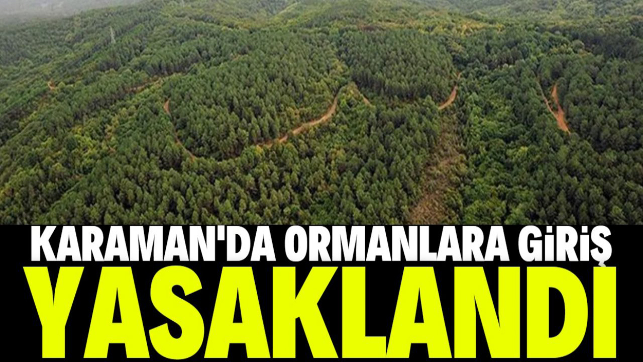 Karaman'da orman alanlarına girişler 15 Ekim'e kadar yasaklandı