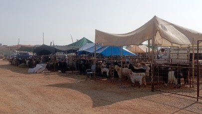 Karaman'da hayvan pazarı kapatıldı