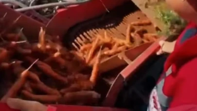 Kazımkarabekir ilçesinde havuç hasadı yapıldı