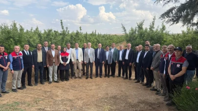 Elma Üretiminde tarihi kayıp