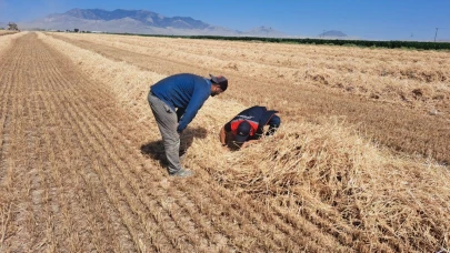 Dane kaybına karşı biçerdöver kontrolleri devam ediyor