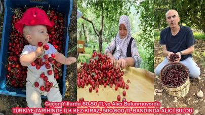 Türkiye Tarihinde İlk Kez Kiraz, 500-600 Tl Bandında Alıcı Buldu