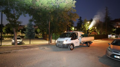 Karaman’da Haşere ve Sineklere Karşı İlaçlama Çalışmaları Sürüyor