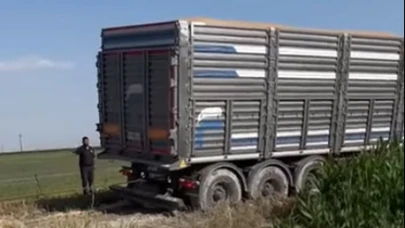 Çamurlaşan Tarla Yolları Nakliye Araçlarını Yolda Bırakıyor