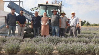 Karaman’da Lavanta  Hasadı Başladı