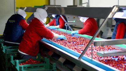 İşte Karaman’da Desteklenecek Sektörler