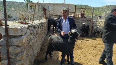 Arazi anlaşmazlığı cinayetle sonuçlandı