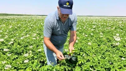 Patates Üretimi Yapılan Alanlar Denetlendi