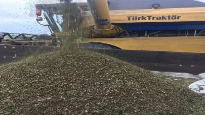 Karaman’da Kuraklığa Dayanıklı Ve Düşük Maliyetli Alternatif Ürün: Karabuğday