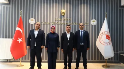 Coğrafi Bilgi Sistemi masaya yatırıldı