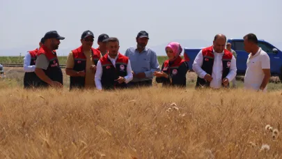 Bulut, bakanlık yetkilileriyle birlikte üretim alanlarını ziyaret etti