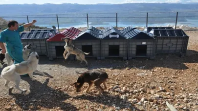 Ermenek'te Hayvan Barınağı Hizmete Girdi