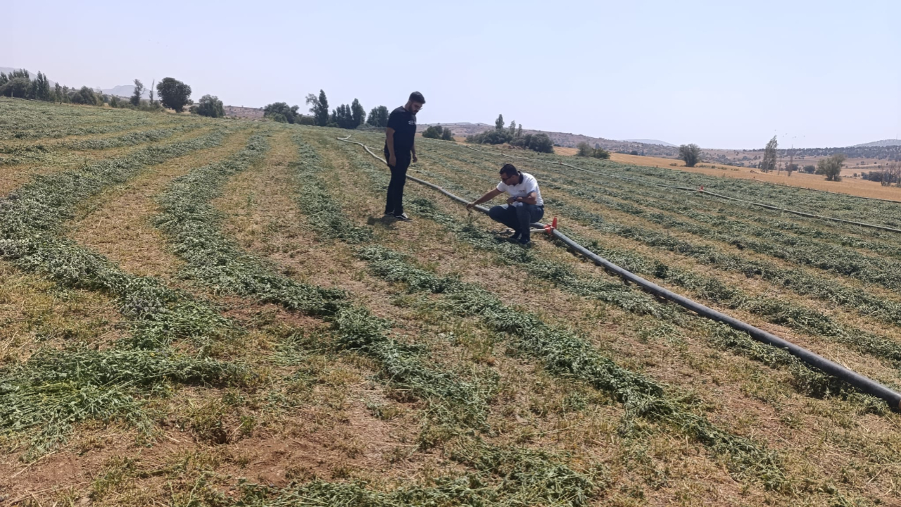 Tuz Çalısı ve Cochia bitkilerinin gelişim kontrolleri gerçekleştirildi