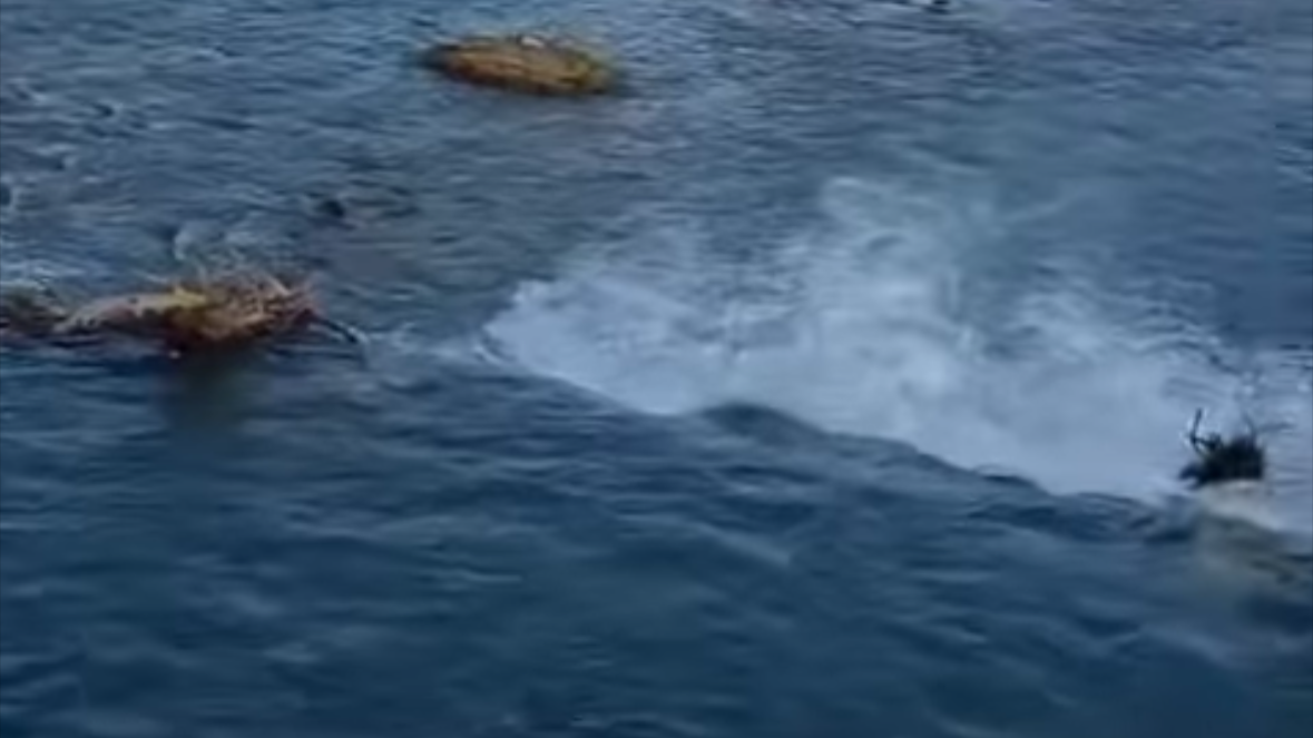 Gödet Barajı alarm veriyor. Barajdaki su seviyesi ölü hacmin altına düştü