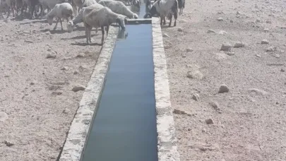 Bin 500 hayvanın su ihtiyacını karşılayacak