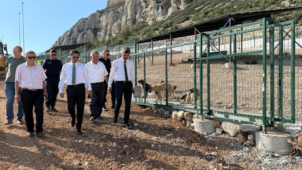 Sahipsiz Hayvan Bakımevi ve Rehabilitasyon Merkezi incelendi