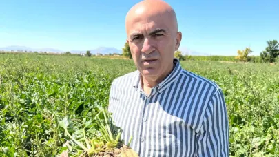 Pancar üreticisinin Fiyat Beklentisi Ton Başına 3.500 TL