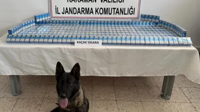 19 Bin 198 Şahıs Sorgulandı. 5 Suçlu Tutuklandı