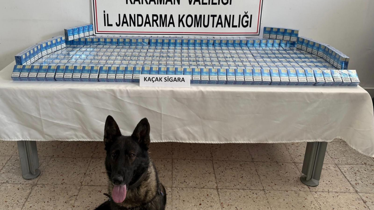19 Bin 198 Şahıs Sorgulandı. 5 Şüpheli Tutuklandı