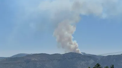 Ermenek'te Orman Yangını Çıktı