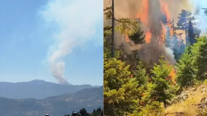 Ermenek'te Orman Yangını Çıktı