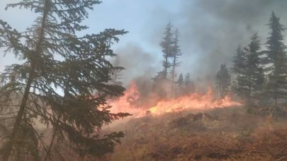 Bakan Yumaklı, Ermenek'teki orman yangınıyla ilgili son durumu paylaştı