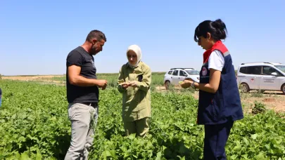 Kazımkarabekir’de Sebze Tarlasında ürün çeşitleri incelendi