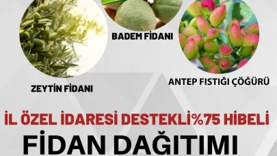 Üreticiye Hibe Destekli Zeytin, Badem ve Antep Fıstığı fidanı verilecek