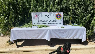 Jandarma Bir Haftada 16 Bin 532 Şahsı Sorguladı