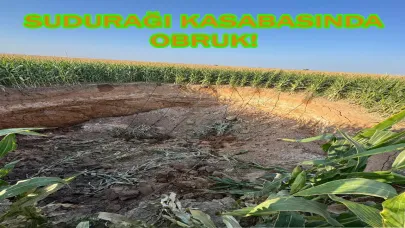Sudurağı Kasabasında Obruk!