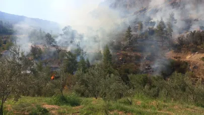 Ermenek'te Orman Yangını Çıktı