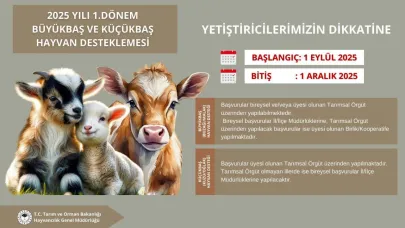 2025 Yılı 1. Dönem Büyükbaş Ve Küçükbaş Hayvan Desteklemesi Başlıyor