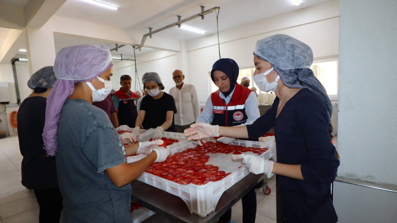 Sarıveliler’de Sebze-Meyve Kurutma Tesisine 4,6 Milyon TL’lik Hibe