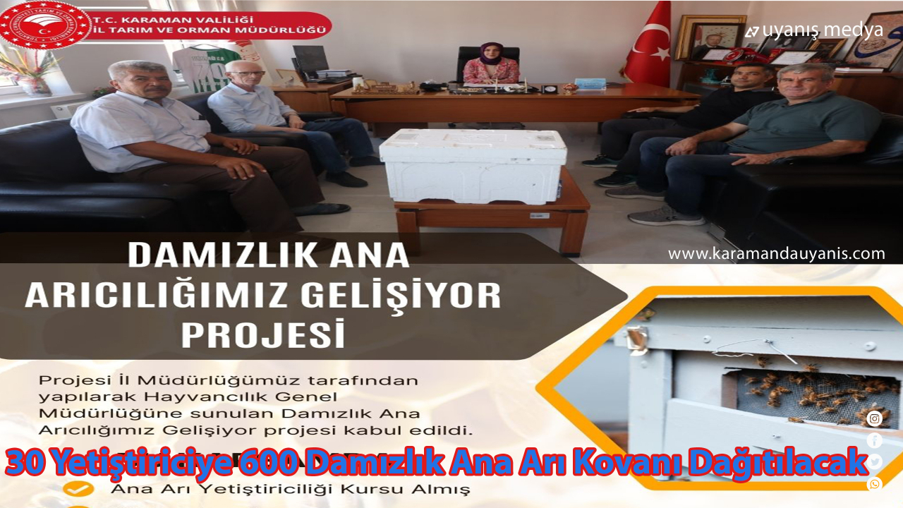 30 Yetiştiriciye 600 Damızlık Ana Arı Kovan Dağıtılacak