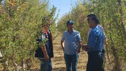 Karaman’da don sonrası meyve bahçelerinde kontroller devam ediyor