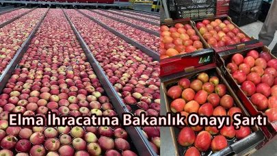 Elma İhracatına Bakanlık Onayı Şartı