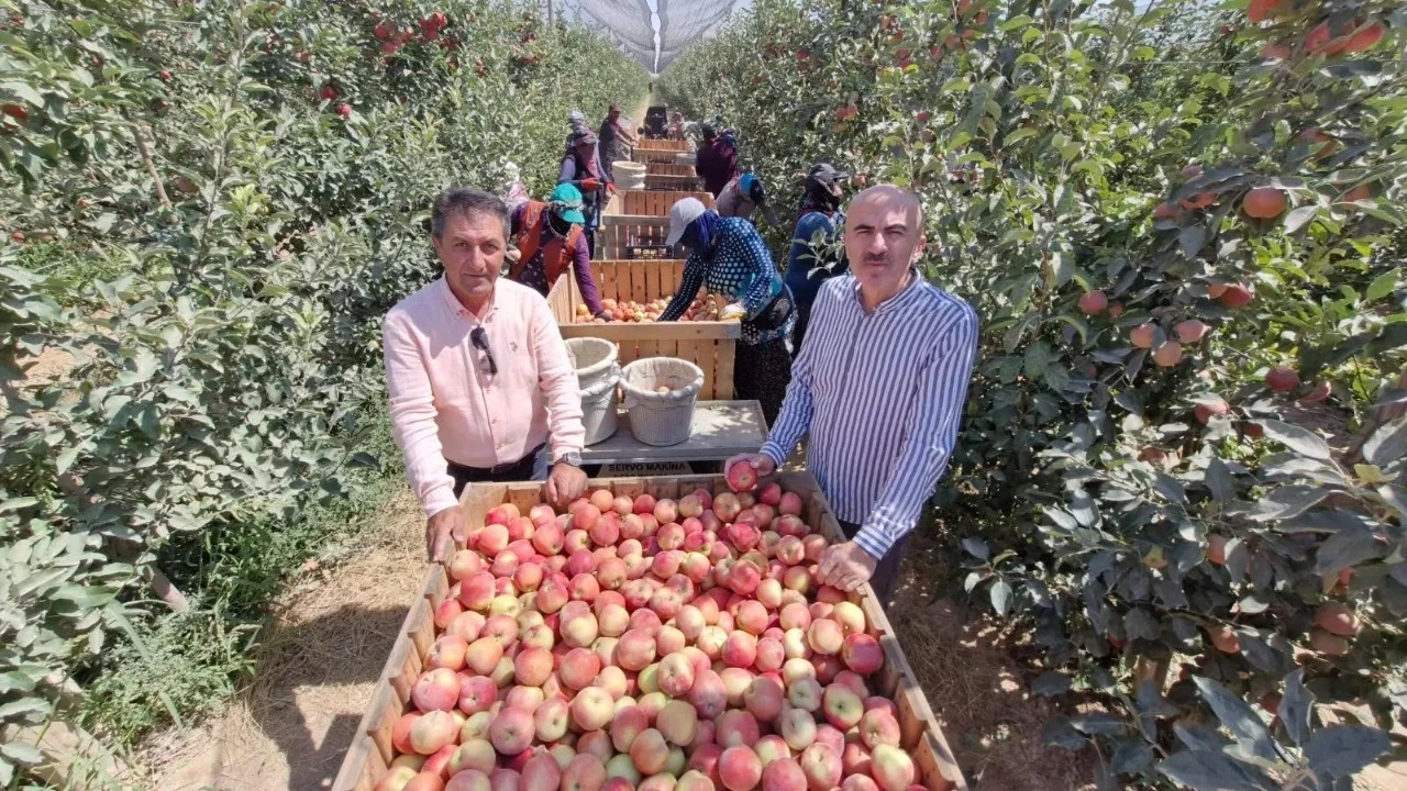 Karamanlı üreticiye aracı uyarısı