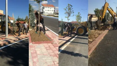 Abdullah Sabri Ülgen Caddesinde Ağaçlandırma Çalışmaları Devam Ediyor