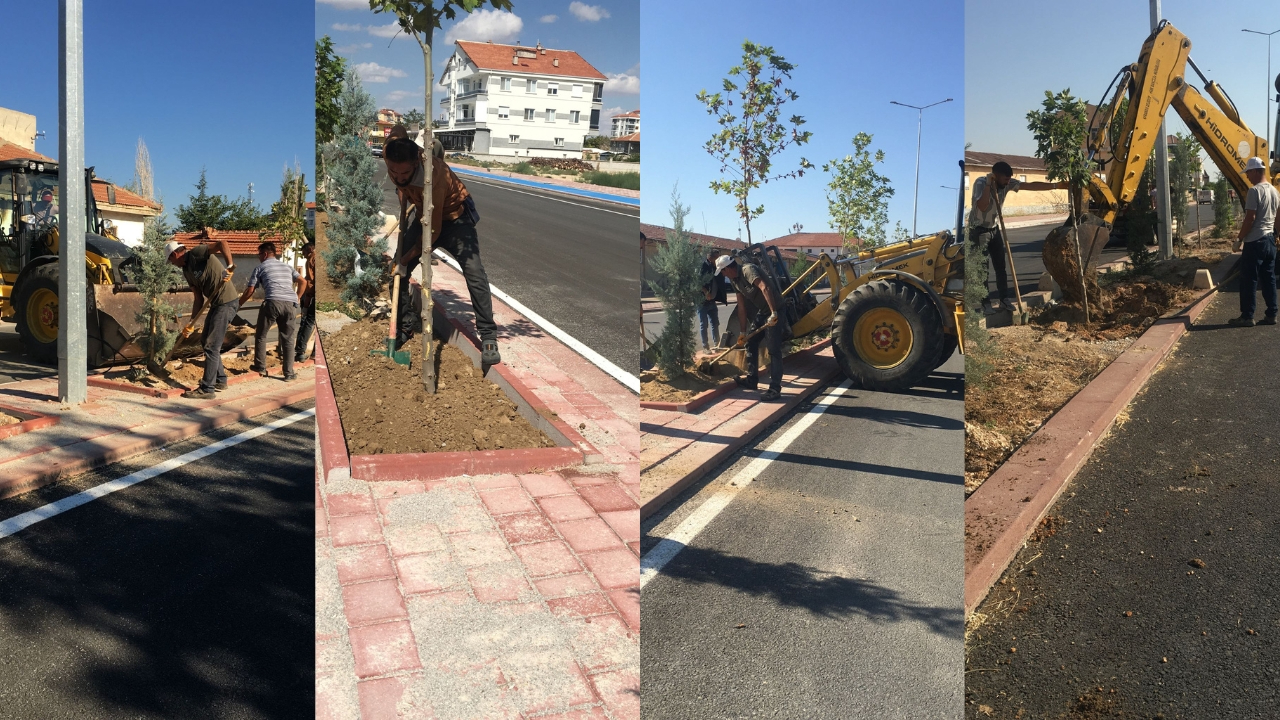 Abdullah Sabri Ülgen Caddesinde Ağaçlandırma Çalışmaları Devam Ediyor
