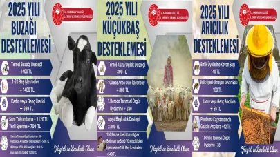 Karaman'da 2025 Yılı Hayvancılık Destekleme Miktarları Belli Oldu!