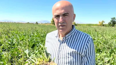 Pancar sezonu başlıyor. Üretici fiyat açıklaması bekliyor