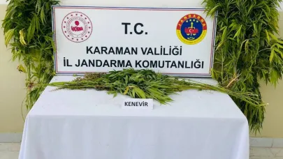 Jandarma 14 bin 890 şahsı sorguladı. 8 Kişi tutuklandı