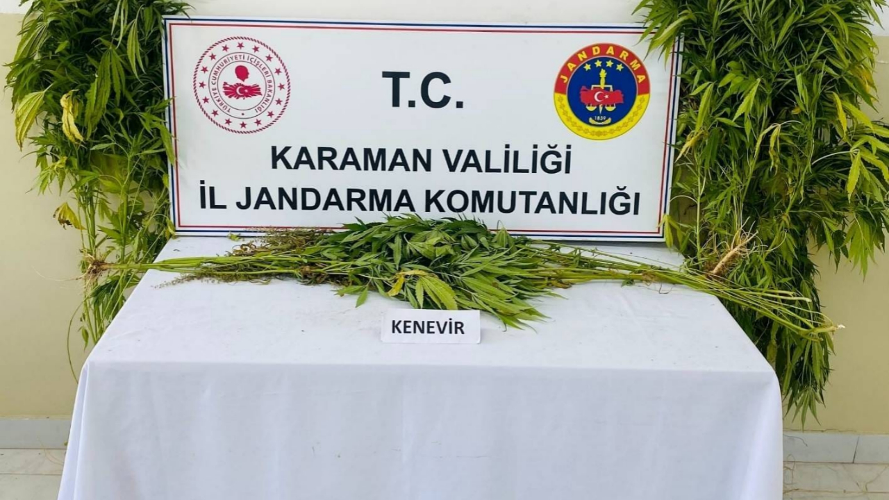 Jandarma 14 bin 890 şahsı sorguladı. 8 Kişi tutuklandı