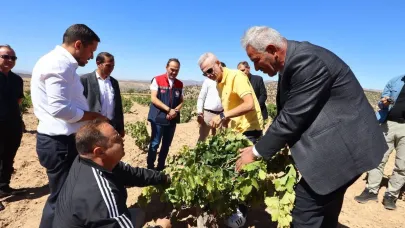 Ekşikara üzüm festivali yapıldı