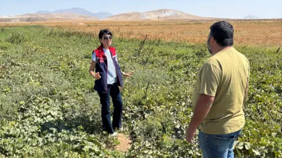 Kazımkarabekir’de Hasat Alanları Denetlendi